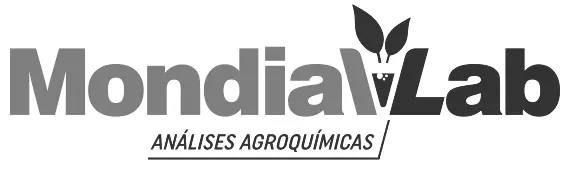 mondiallab influence atelie de software, e-commerces, empresa de software, desenvolvimento de software, aplicativos, soluções digitais, produtos, design, desenvolvimento web, aplicação movel, sites, sistema, site, sistemas, programação, web